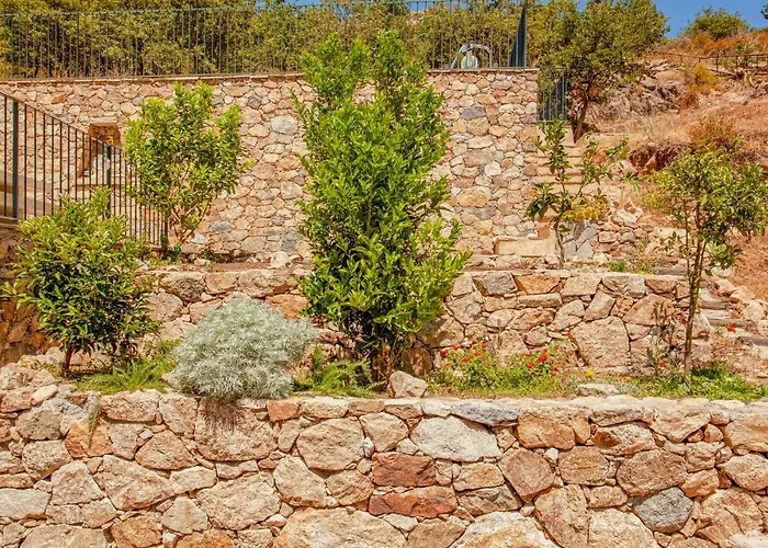 בית נופש In פליקטו